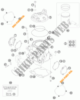 ZYLINDER / ZYLINDERKOPF für KTM 300 XC-W 2015
