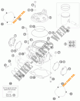 ZYLINDER / ZYLINDERKOPF für KTM 250 EXC FACTORY EDITION 2015