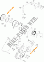 ZÜNDUNG für KTM 390 DUKE WHITE 2018