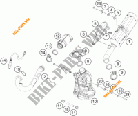 AUSPUFF für KTM 390 DUKE ORANGE 2018