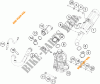 AUSPUFF für KTM 125 DUKE ORANGE 2017